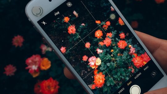 Os melhores aplicativos de edição de fotos para o Instagram